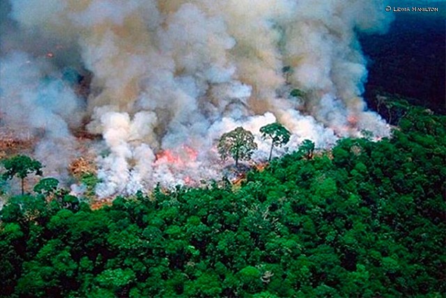 Incendio en el Amazonas