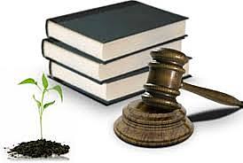 Ley Orgánica de la procuraduria general de la república.