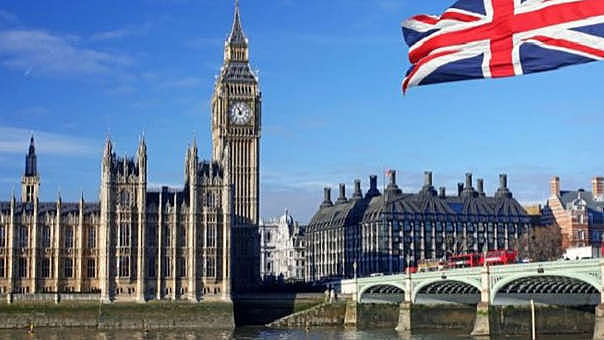 Introduce el envase de cartón