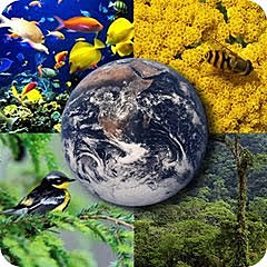 Congreso de Educación