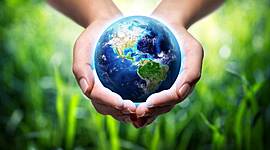 Timeline: LINEA DEL TIEMPO