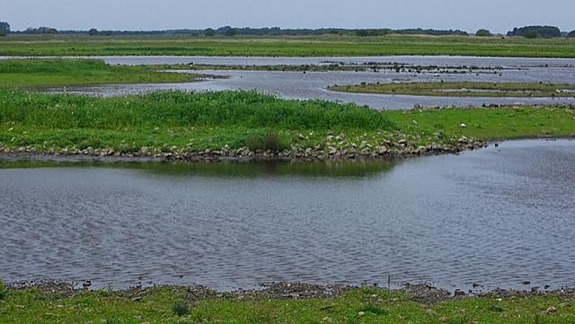 Convencion sobre los humedales