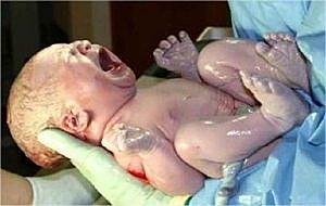 Finaliza la gestación