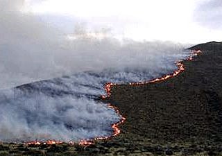 La temperatura de la Tierra  punto máximo en 115.000 años