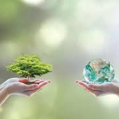 Timeline: Problemática Ambiental Global