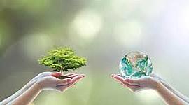 Timeline: Problemática Ambiental Global