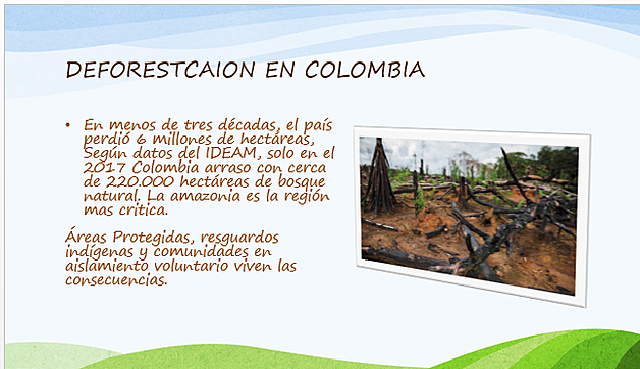 DEFORESTACION