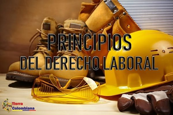 PRINCIPIOS BÁSICOS DEL DERECHO LABORAL