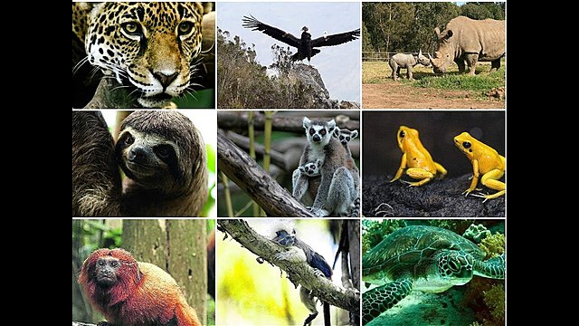 Asociación de Zoológicos y Acuarios