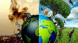 Timeline: PROBLEMATICAS AMBIENTALES