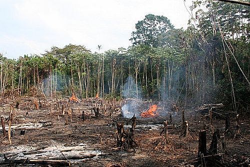 Consecuencias de la producción