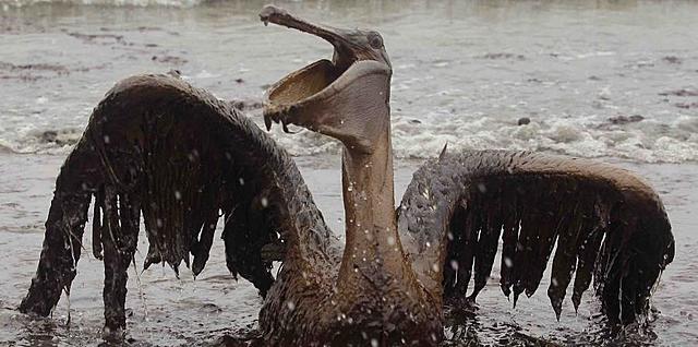 Derrame de petróleo en el Golfo de México