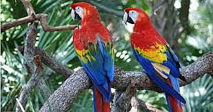 ministerio del medio ambiente