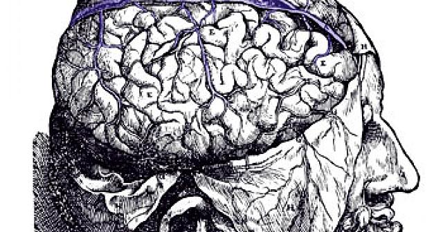 Anatomía y fisiología