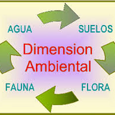 Timeline: Linea de tiempo