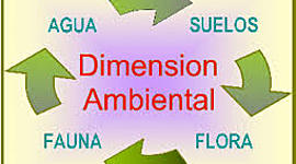 Timeline: Linea de tiempo