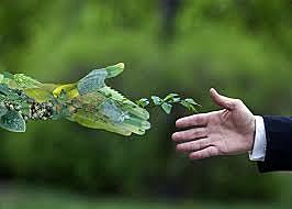 Cumbre de la Tierra de Johannesburgo