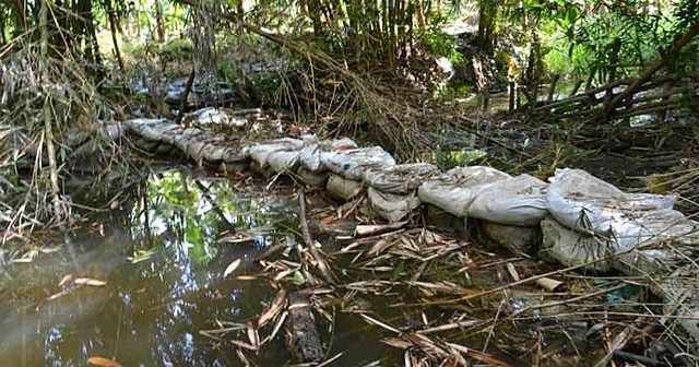 Tragedia Cienaga Santa Marta