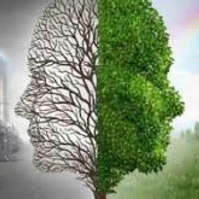 Timeline: problematica ambiental