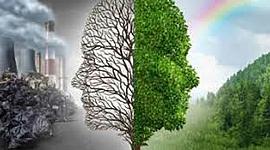 Timeline: problematica ambiental