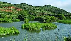 convención de Ramsar