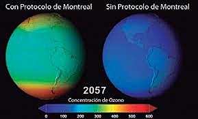 Protocolo de Montreal