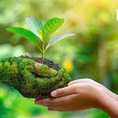 Timeline: DIMENSIÓN AMBIENTAL