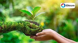 Timeline: DIMENSIÓN AMBIENTAL