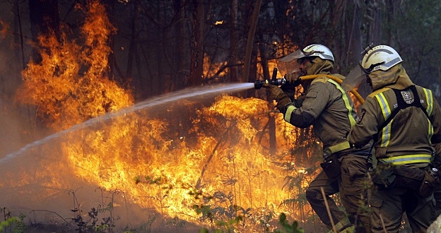 Declaracion Sobre el Desarrollo Sostenible