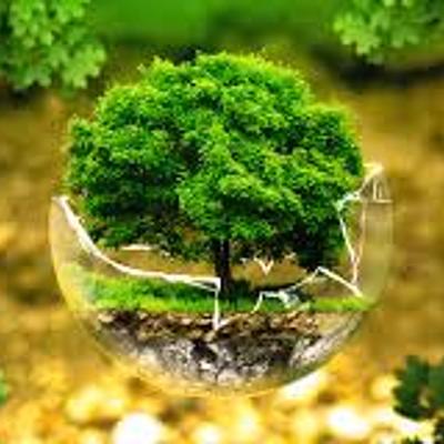 Timeline: PROBLEMÁTICA AMBIENTAL GLOBAL