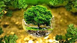 Timeline: PROBLEMÁTICA AMBIENTAL GLOBAL