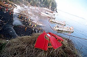 Derrame de Petróleo del Buque Exxon Valdez en Alaska