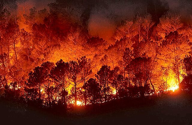 cazas y eventos de vía de extinción