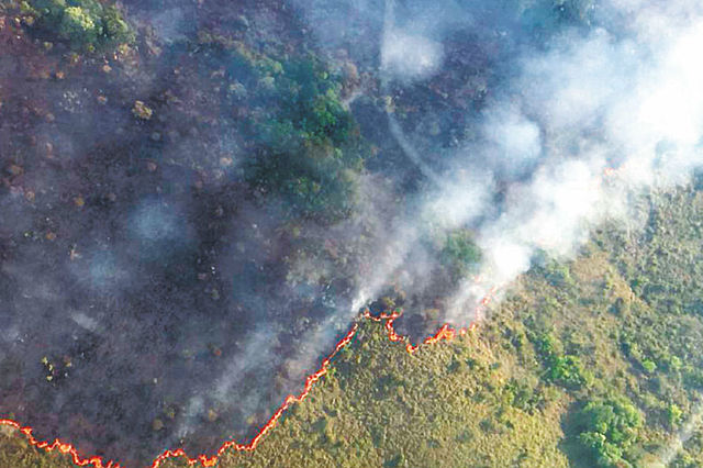 Incendio en el Amazonas