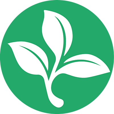 Timeline: Problematica Ambiental Global