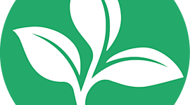 Timeline: Problematica Ambiental Global