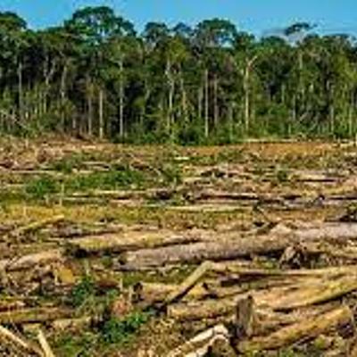 Timeline: Problemática ambiental de la producción y el consumo de recursos naturales a nivel global