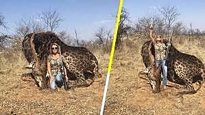 Convención para la preservación de los animales silvestres, pájaros y peces de África