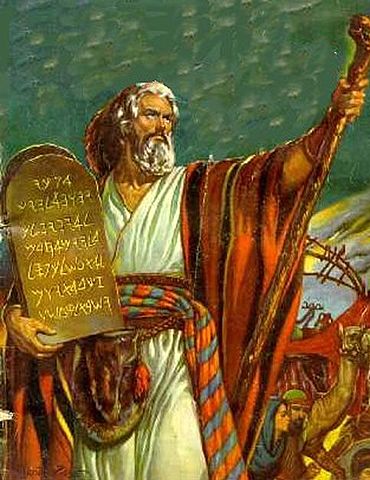 Reconocimiento de conceptos de organización, principio escalar, principio de excepción.