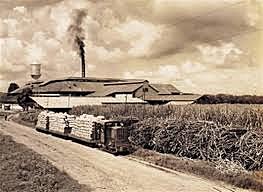 Creación de la agro-industria y contribución a la contaminación ambiental.