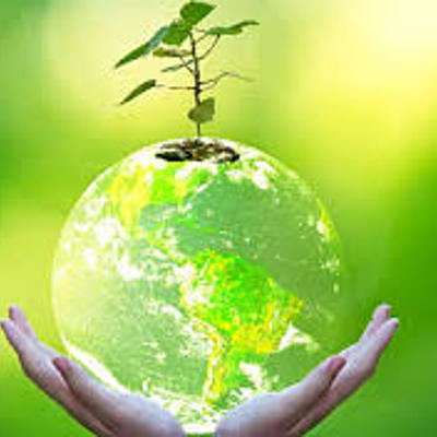 Timeline: Dimención ambiental a traves del tiempo