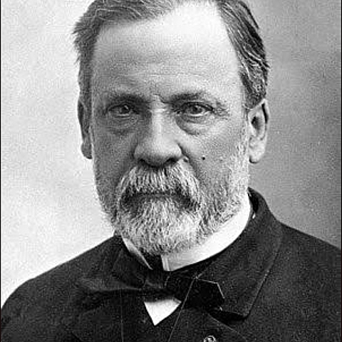 Louis pasteur