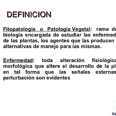 Timeline: línea de tiempo,historia de la Fitopatología