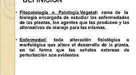 Timeline: línea de tiempo,historia de la Fitopatología