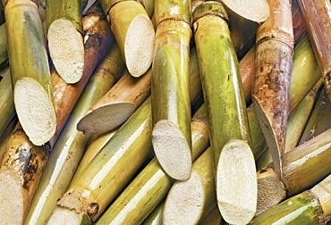 La Colonia en El Salvador.