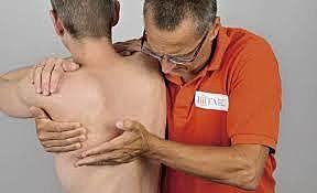 CONCEPTO KALTENBORN- EVJENTH