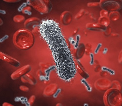 Inicio de la era de Bacteriología