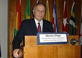 NICOLO GLIGO (Santiago de Chile)