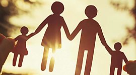 Timeline: Evolucion de diversas estructuras