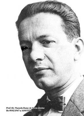 Marcello Damy, Paulus Aulus y los rayos cosmicos